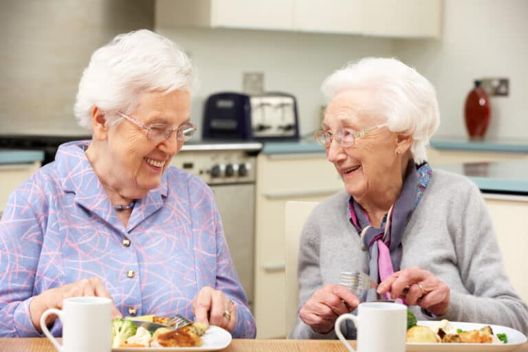 Home Sharing for Seniors Seniors Guide