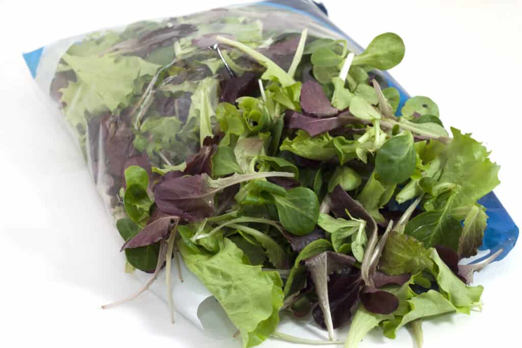 7 Tips to Keep Bagged Salad Fresh Longer Seniors Guide
